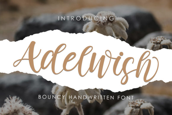 Adelwish: A Friendly Handwritten Font for Editorial Design