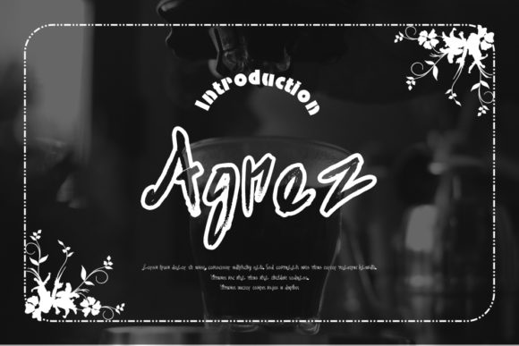 Agnez: A Script Font for Modern Web Design