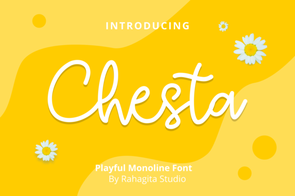Chesta Font for Clear, Timeless Campaign Design