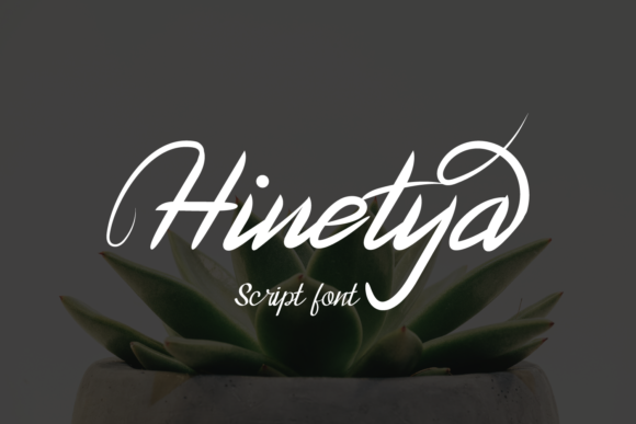 Font That Speaks Your Brand: Hinetya for Small Business Success
