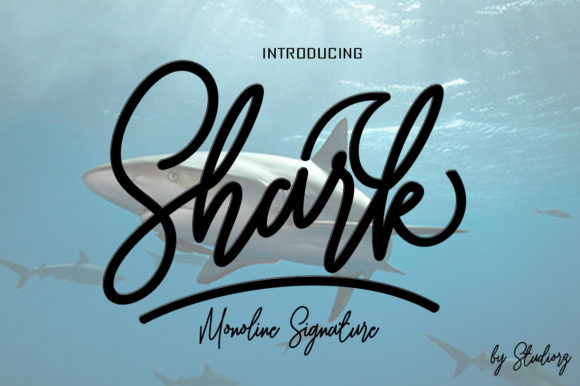 Shark: A Timeless Script Font for Editorial Design