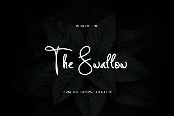 The Swallow: A Handwritten Font for Editorial Elegance